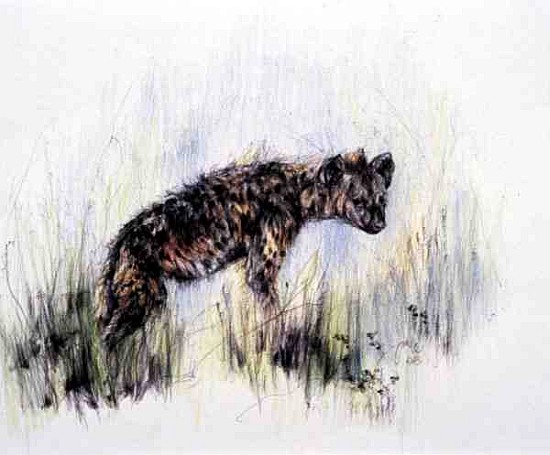 Baby Hyena, 1995 (pen, pencil and crayon on paper)  de Odile  Kidd