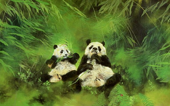 Pandas, 1998 (acrylic and pencil on canvas)  de Odile  Kidd