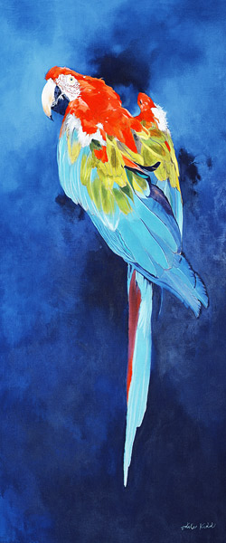 Red and Blue Macaw, 2002 (acrylic on linen)  de Odile  Kidd