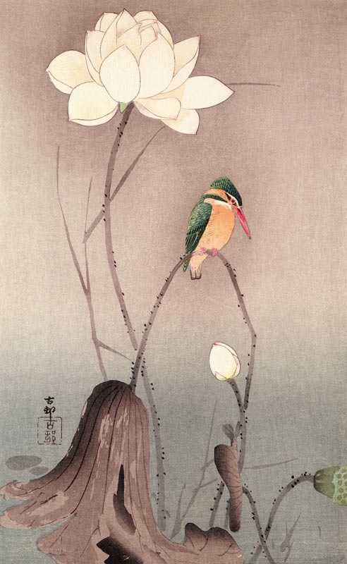 A Kingfisher and a lotus de Ohara Shôson