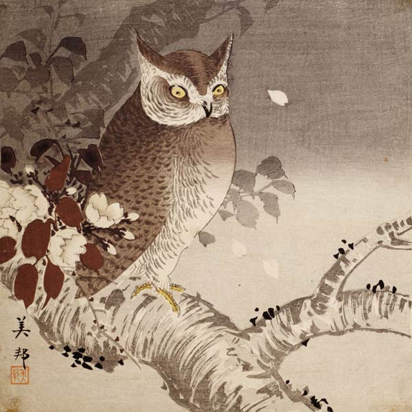 An owl on a tree branch, (colour woodblock print) de Ohara Shôson
