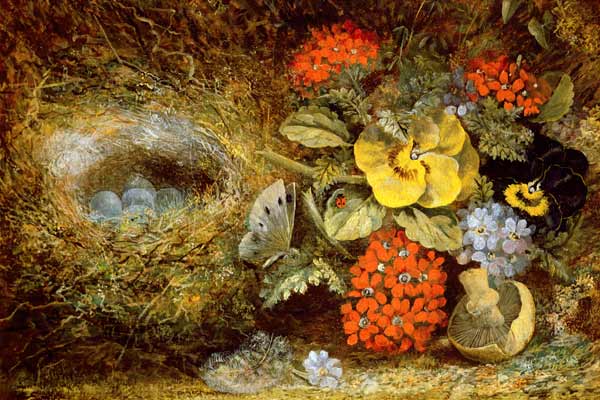 Flowers and Bird's Nest with Butterfly and Mushroom de Oliver Clare