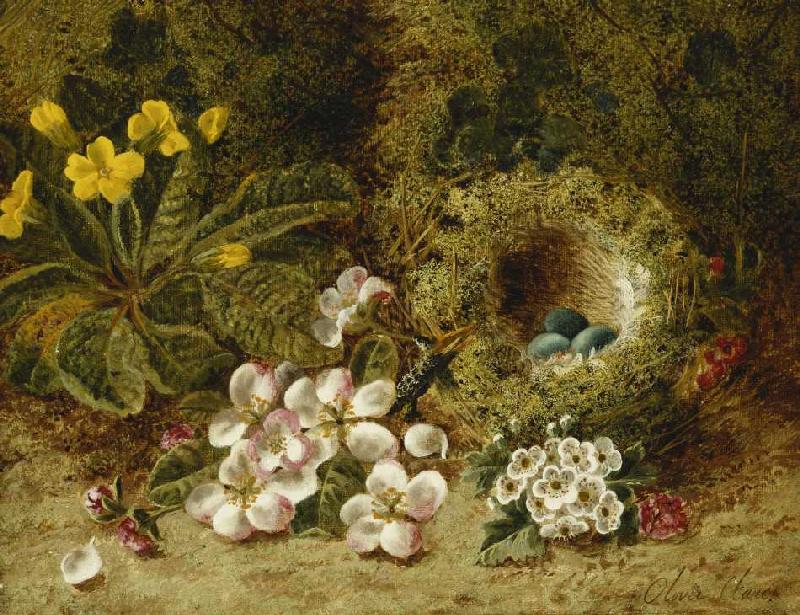 Apfelblüten, eine Primel und ein Vogelnest im Moos. de Oliver Clare