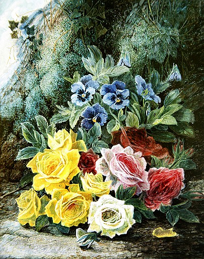 Roses de Oliver Clare