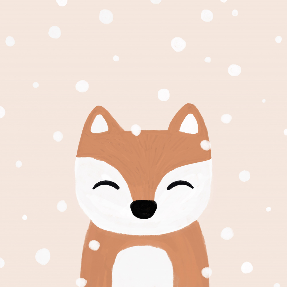 Snow & Fox de Orara Studio
