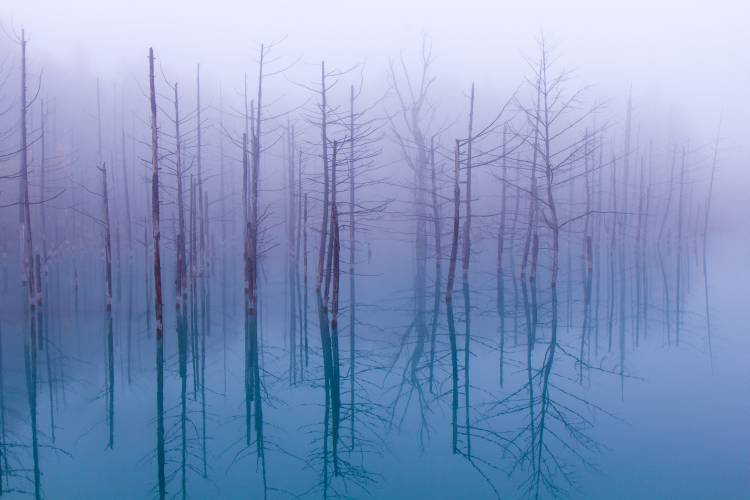 Misty Blue Pond de OSAMU ASAMI
