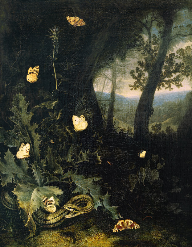 Waldboden mit Distel und Schlange de Otto Marseus van Schrieck