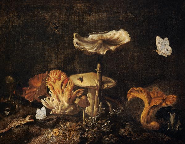 Still Life with Mushrooms and Butterflies de Otto Marseus van Schrieck