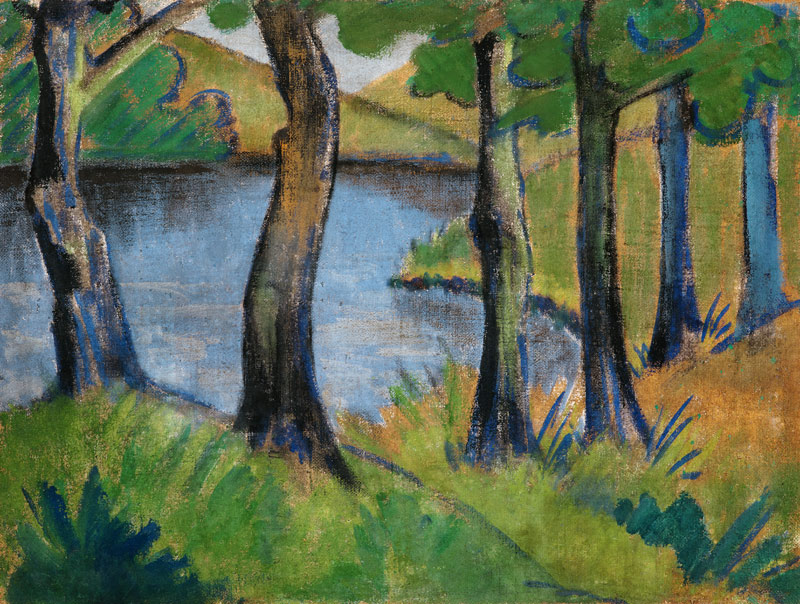 Waldsee de Otto Mueller