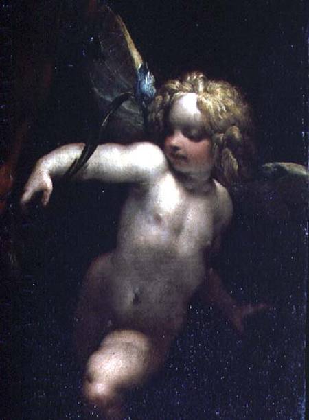 The Martyrdom of SS. Rufina and Seconda, known as the 'three-handed picture', detail of an angel, pa de P. Crespi