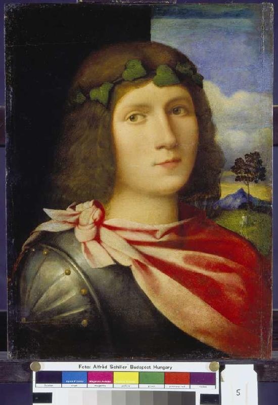 Half-length portrait of a juvenile. de Palma il Vecchio (eigentl. Jacopo Negretti)