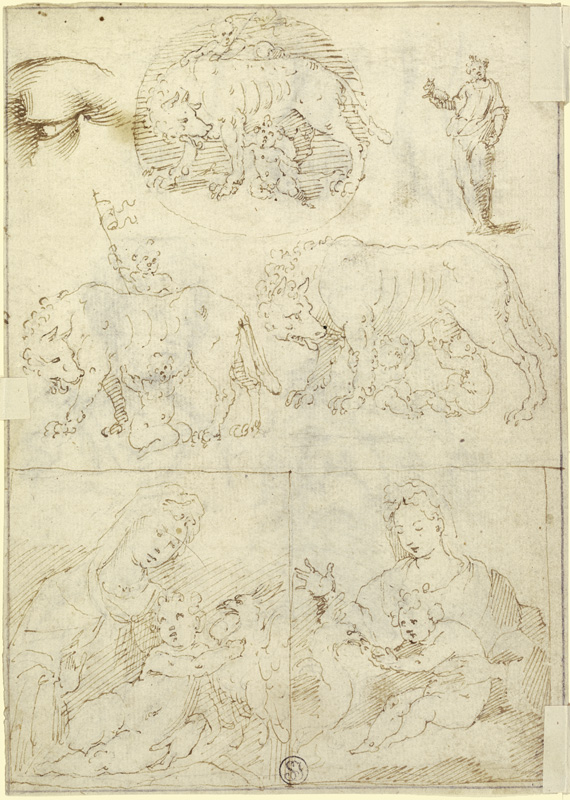 Studienblatt: Wölfin mit Romulus und Remus sowie Madonna de Parmigianino