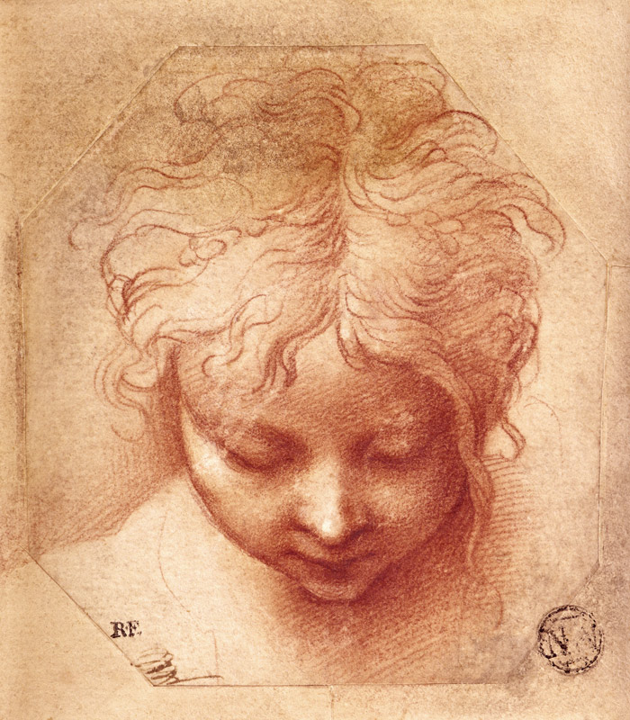 Study of a Head de Parmigianino