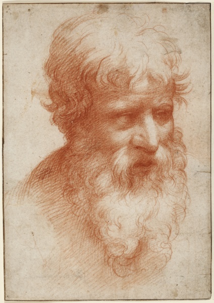 Head of a Bearded Man, looking right de Parmigianino