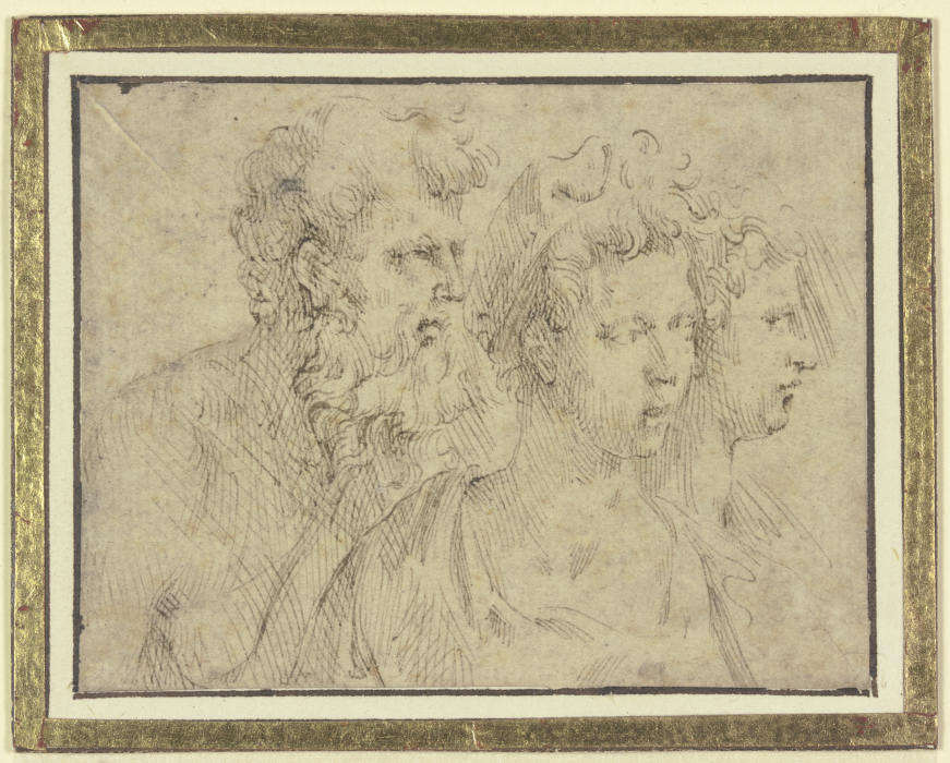 Köpfe eines bärtigen Mannes und zweier Frauen de Parmigianino