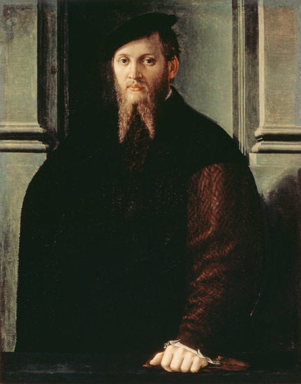 Portrait of a Man de Parmigianino