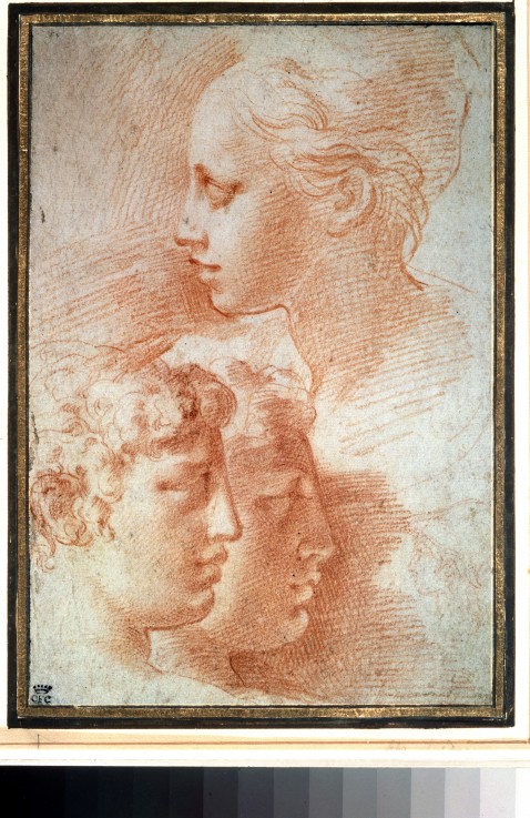Study of the heads de Parmigianino