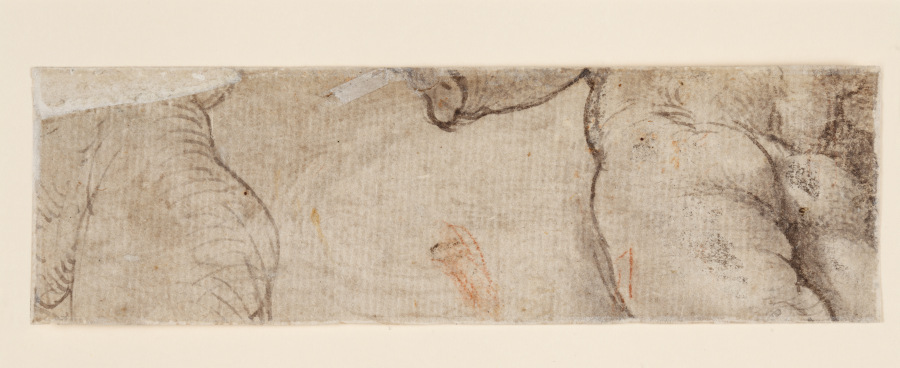 Zwei Puttenkörper (fragmentarisch) de Parmigianino