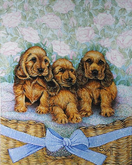 Brother Puppies (oil on canvas)  de Pat  Scott