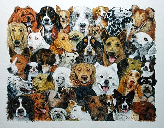 Dog Friends (oil on canvas)  de Pat  Scott