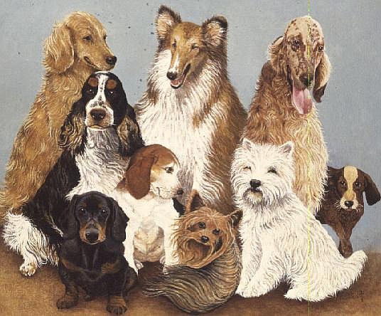Dogs'' Dinner (oil on canvas)  de Pat  Scott