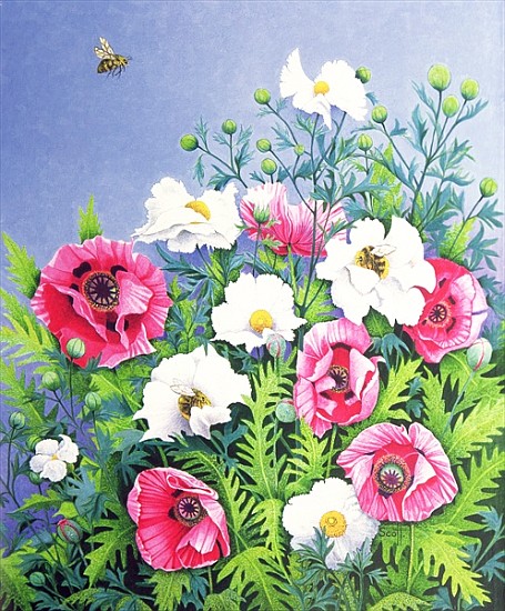 Honey Bee, Honey Bee (oil on canvas)  de Pat  Scott