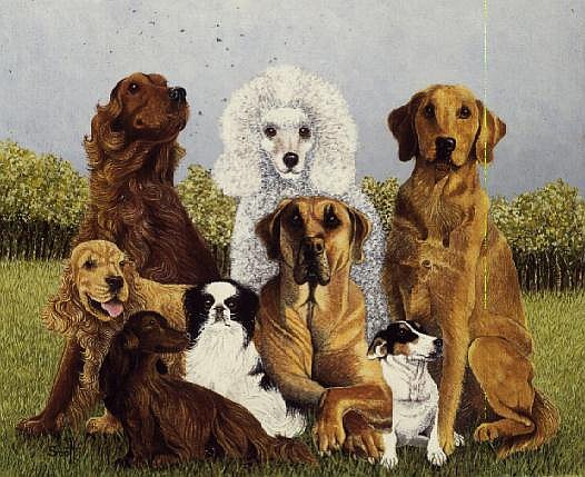 Oliver''s Dogs (oil on canvas)  de Pat  Scott