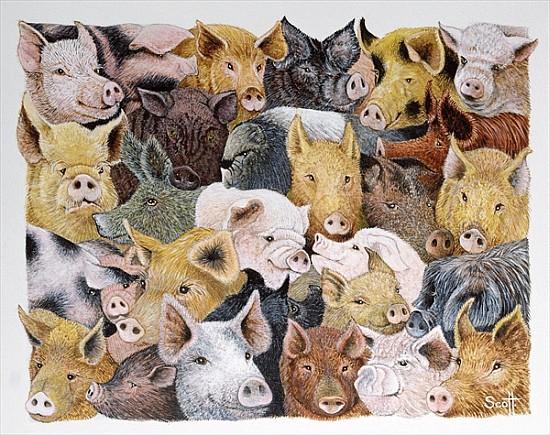 Pigs Galore (acrylic on calico)  de Pat  Scott