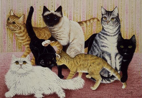 Stephanie''s Cats  de Pat  Scott
