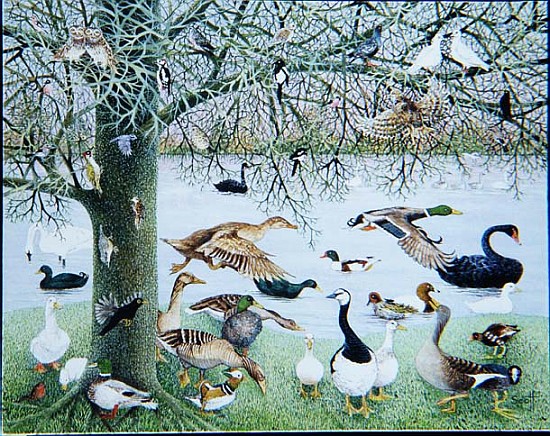 The Odd Duck (acrylic on canvas)  de Pat  Scott