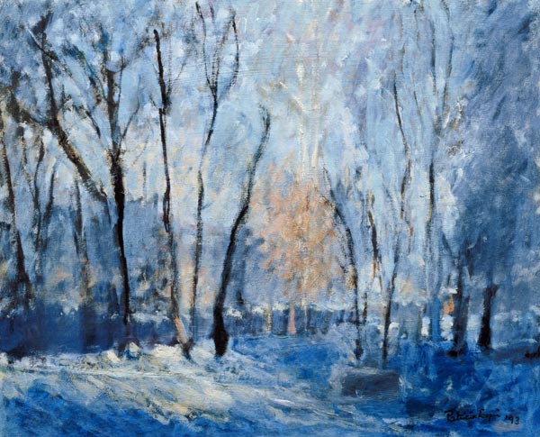 Snow in the Garden, 1993  de Patricia  Espir