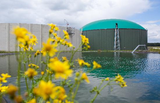 Biogasanlage in Turnow de Patrick Pleul