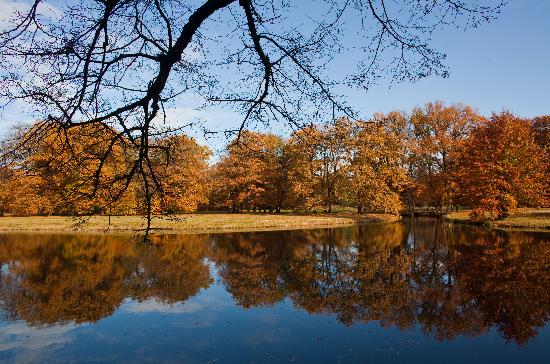 Branitzer Park im Herbst de Patrick Pleul