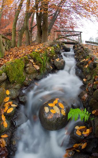 Herbst in der Mark Brandenburg de Patrick Pleul