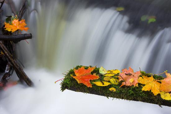 Herbstfeature in Märkisch-Oderland de Patrick Pleul
