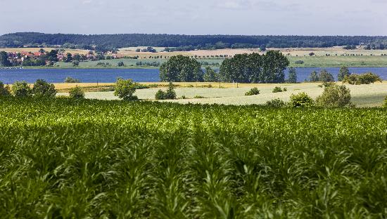 Landschaft der Uckermark in Brandenburg de Patrick Pleul