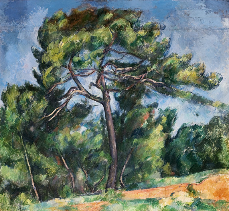 The great pine de Paul Cézanne