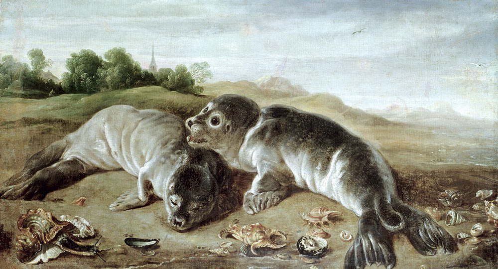 Two Young Seals on the Shore de Paul de Vos