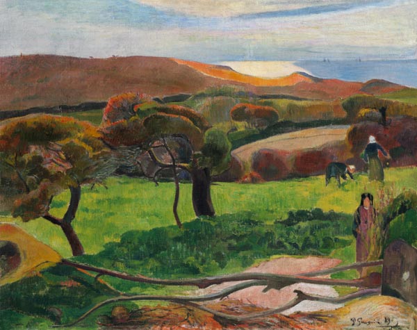 Fields by the sea de Paul Gauguin