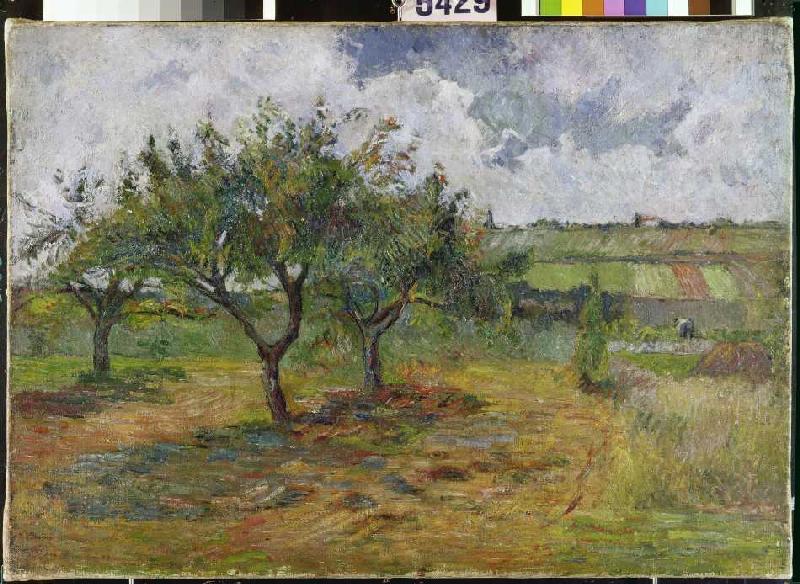 Fields and trees de Paul Gauguin