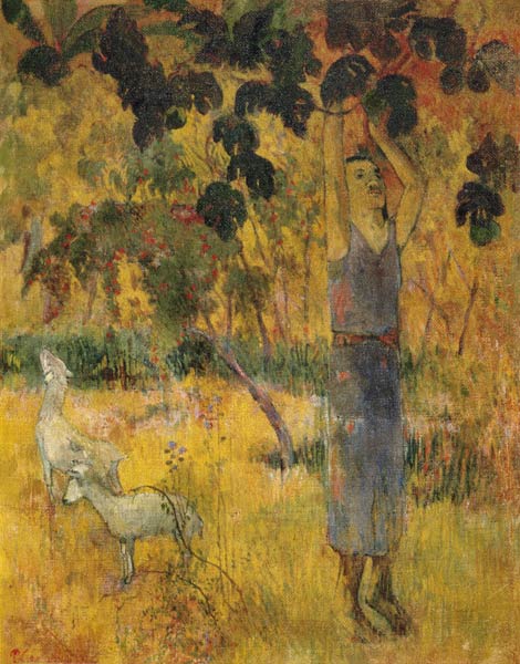 Man Picking Fruit from a Tree de Paul Gauguin