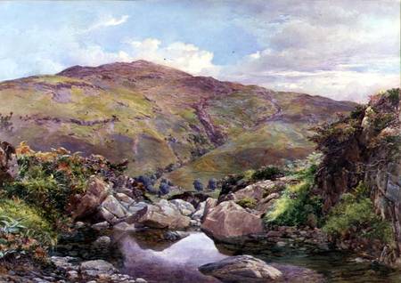 The Hill Stream de Paul Jacob Naftel