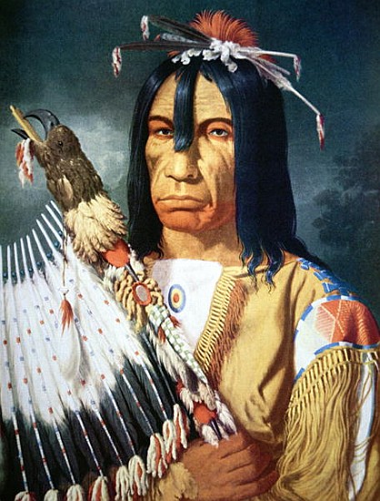 Native American Chief of the Cree people of Canada de Paul Kane