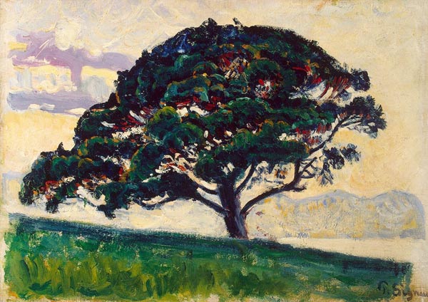 Large Pine, Saint-Tropez de Paul Signac