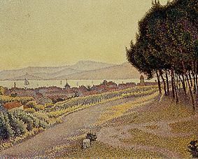 Pine grove about Saint Tropez. de Paul Signac