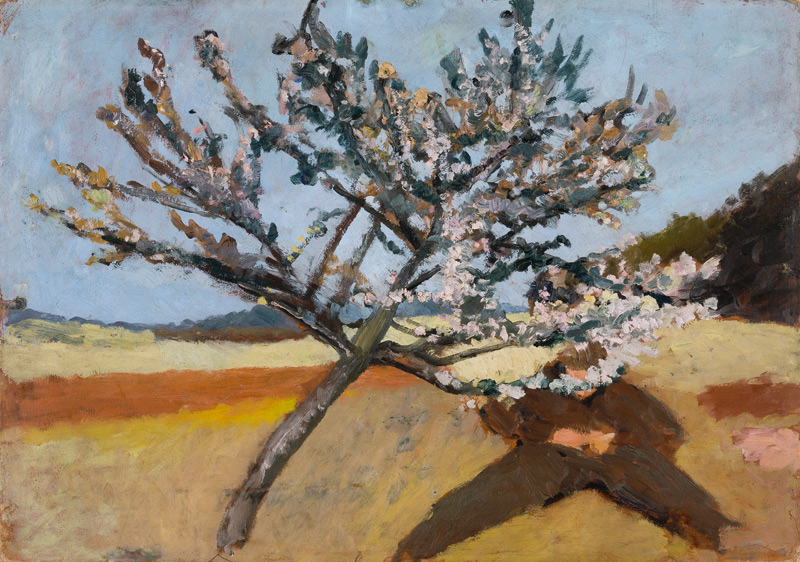 Man lying beneath a Blossoming Tree de Paula Modersohn-Becker