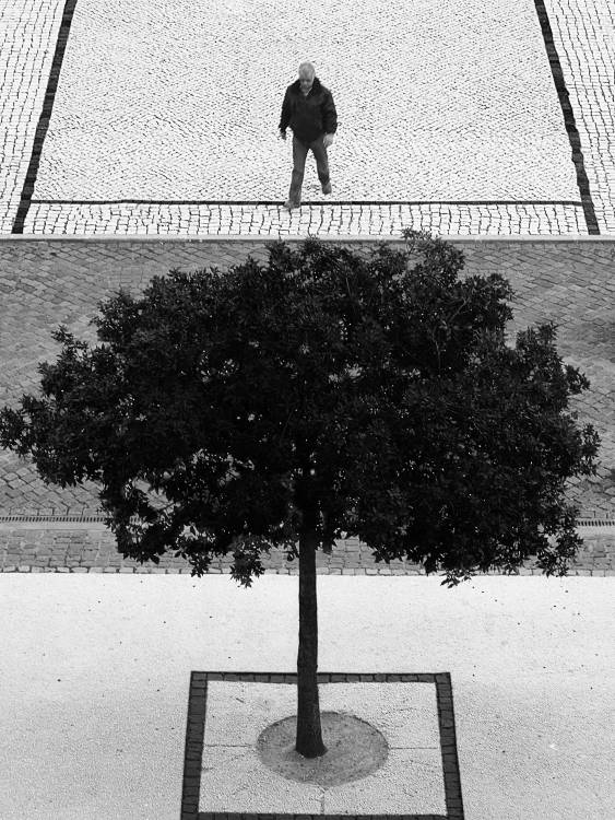 Two Silver Trees de Paulo Abrantes