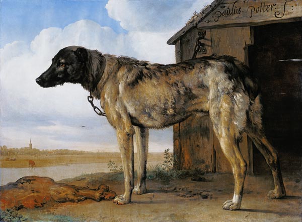 Dog on a Chain de Paulus Potter