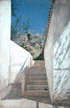 Steps in a Garden, Algeria