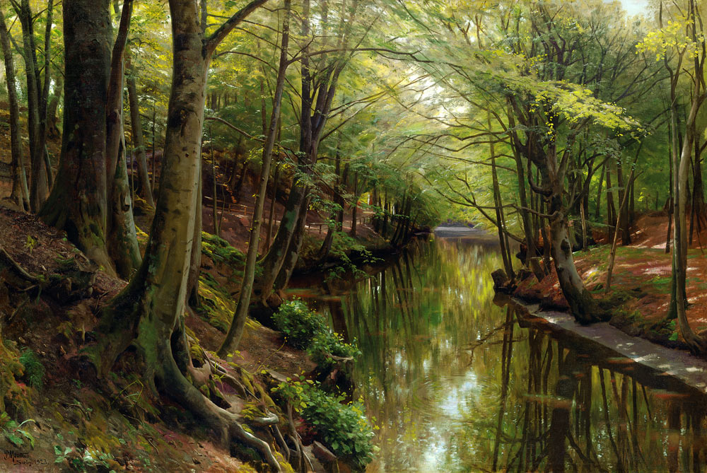 Gewässer in einem Wald de Peder Moensted